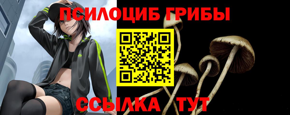 Галлюциногенные грибы Psilocybe  Вход с VPN  Куйбышев  Галлюциногенные грибы ЛСД 